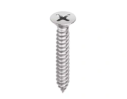 ASTM A193 B8 Phillips Head Screw